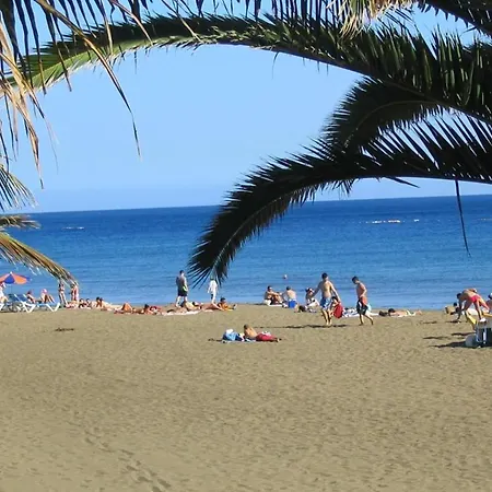 Tabaibas