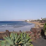 Tabaibas פוארטו דל כרמן
