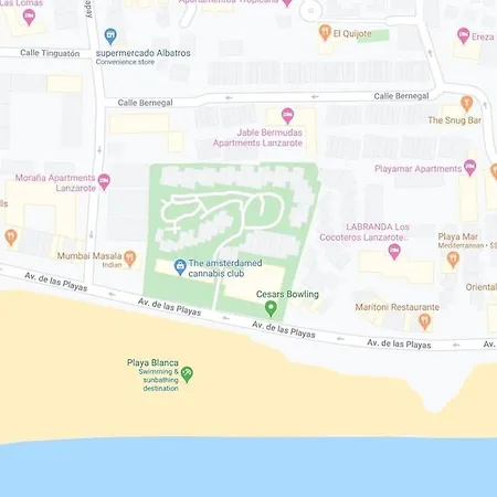 Tabaibas Puerto del Carmen (Lanzarote)