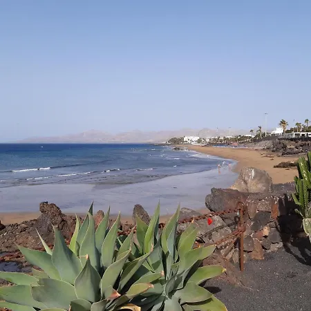 Tabaibas Puerto del Carmen