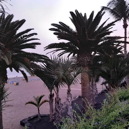 Tabaibas Appartement *