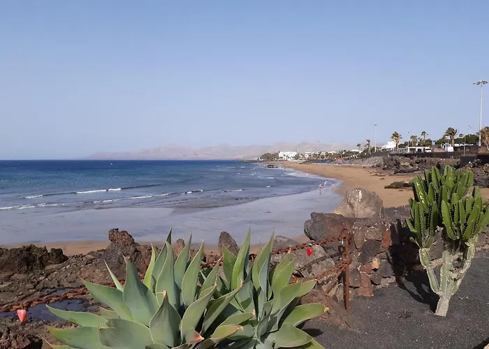 Tabaibas Puerto del Carmen