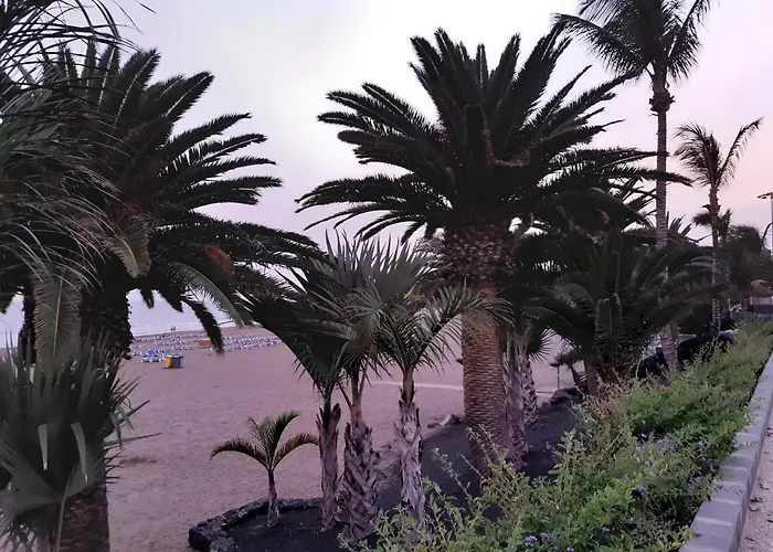 Tabaibas Apartament *